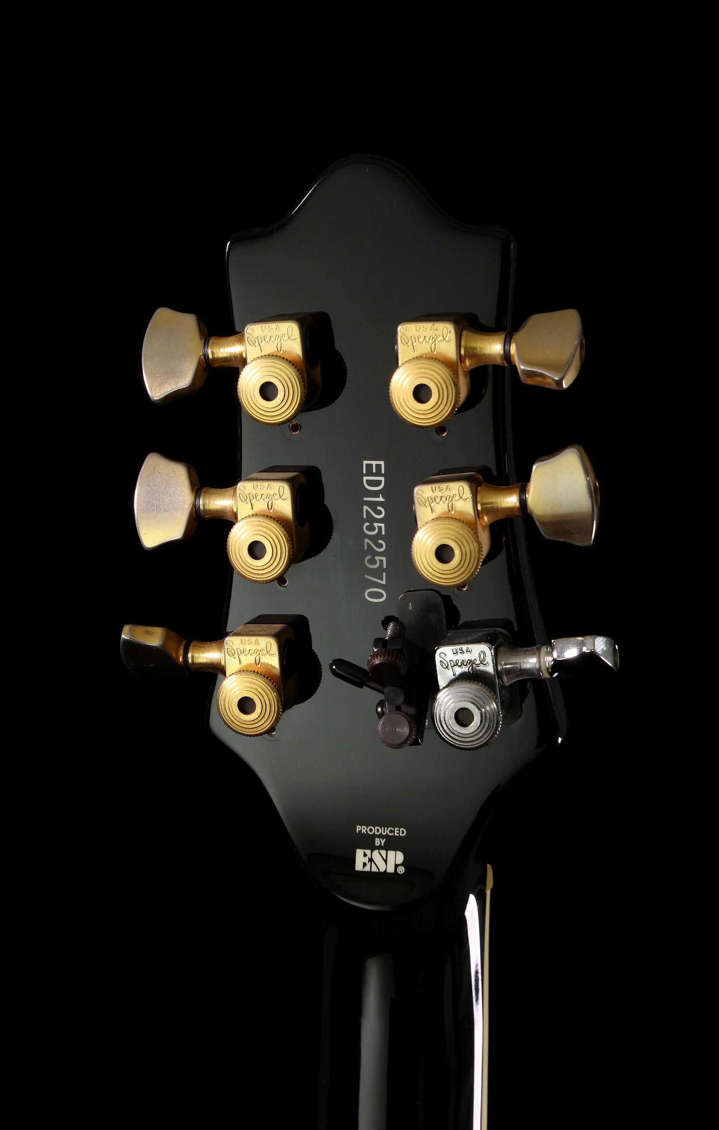 Edwards by ESP E-PO Potbelly Custom Order Ebony