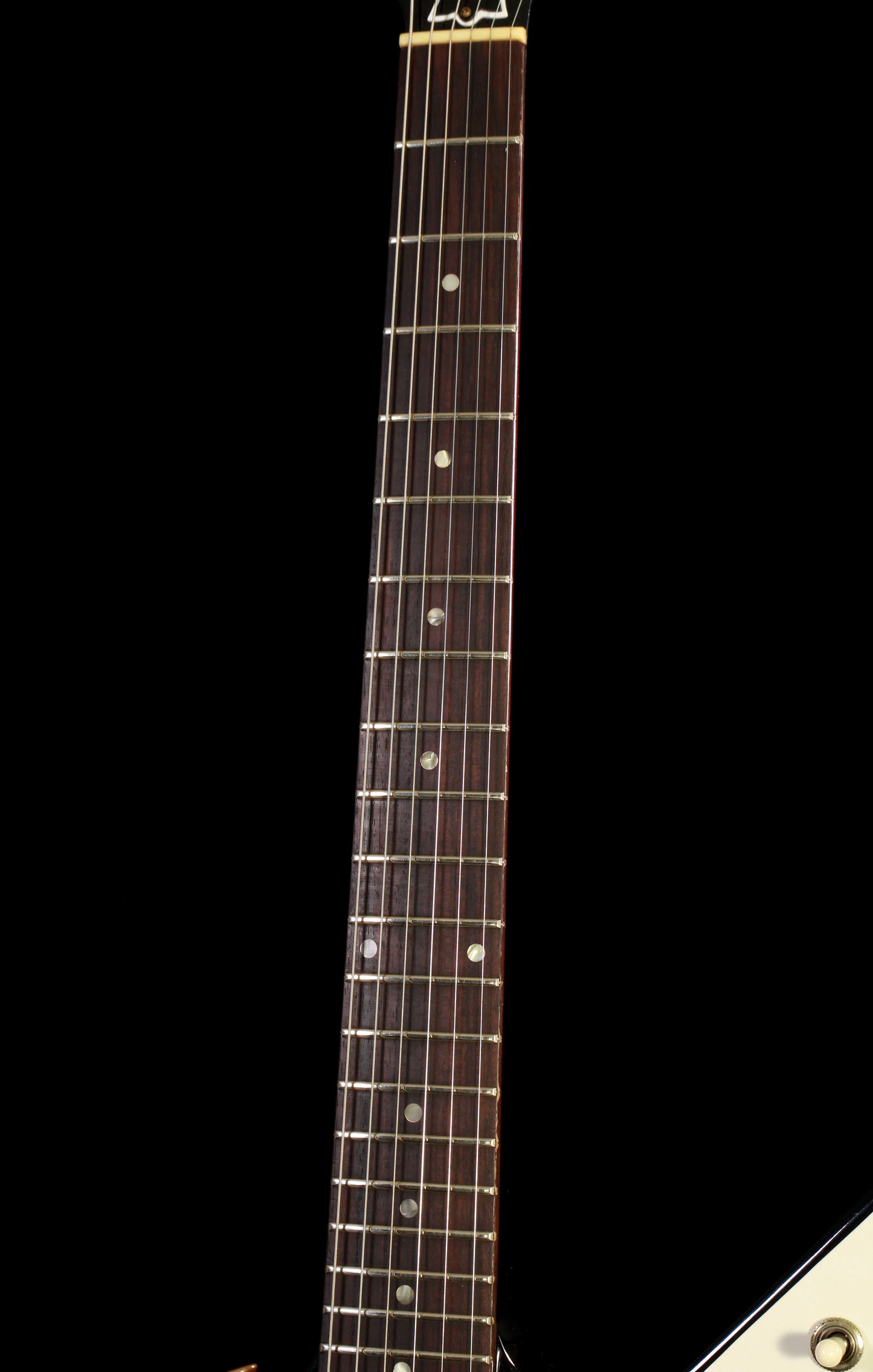 Burny REX-80 BL Ebony 1981 (Explorer Lawsuit)