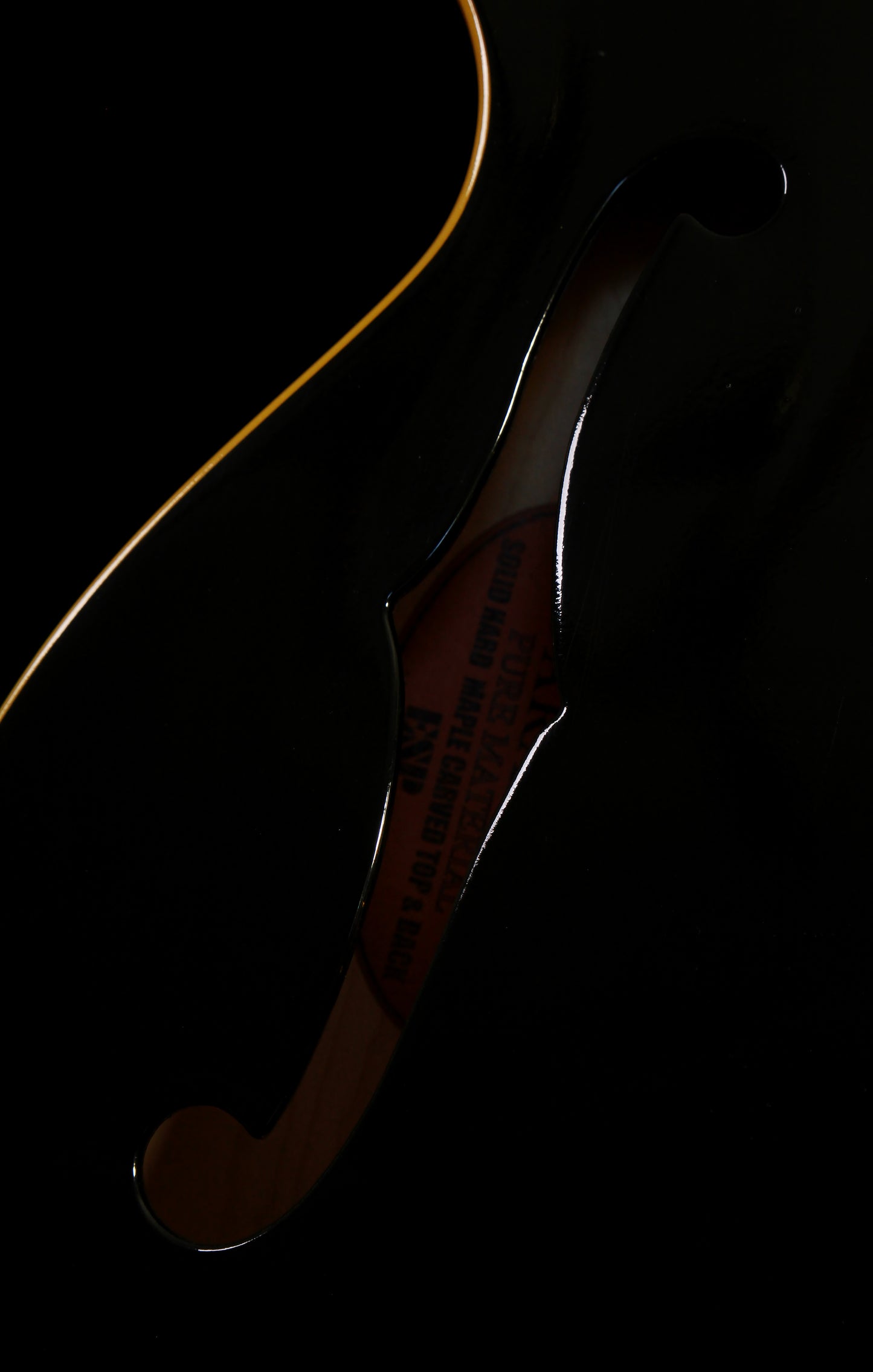 Edwards by ESP E-SA-125LTC ES-335 Ebony
