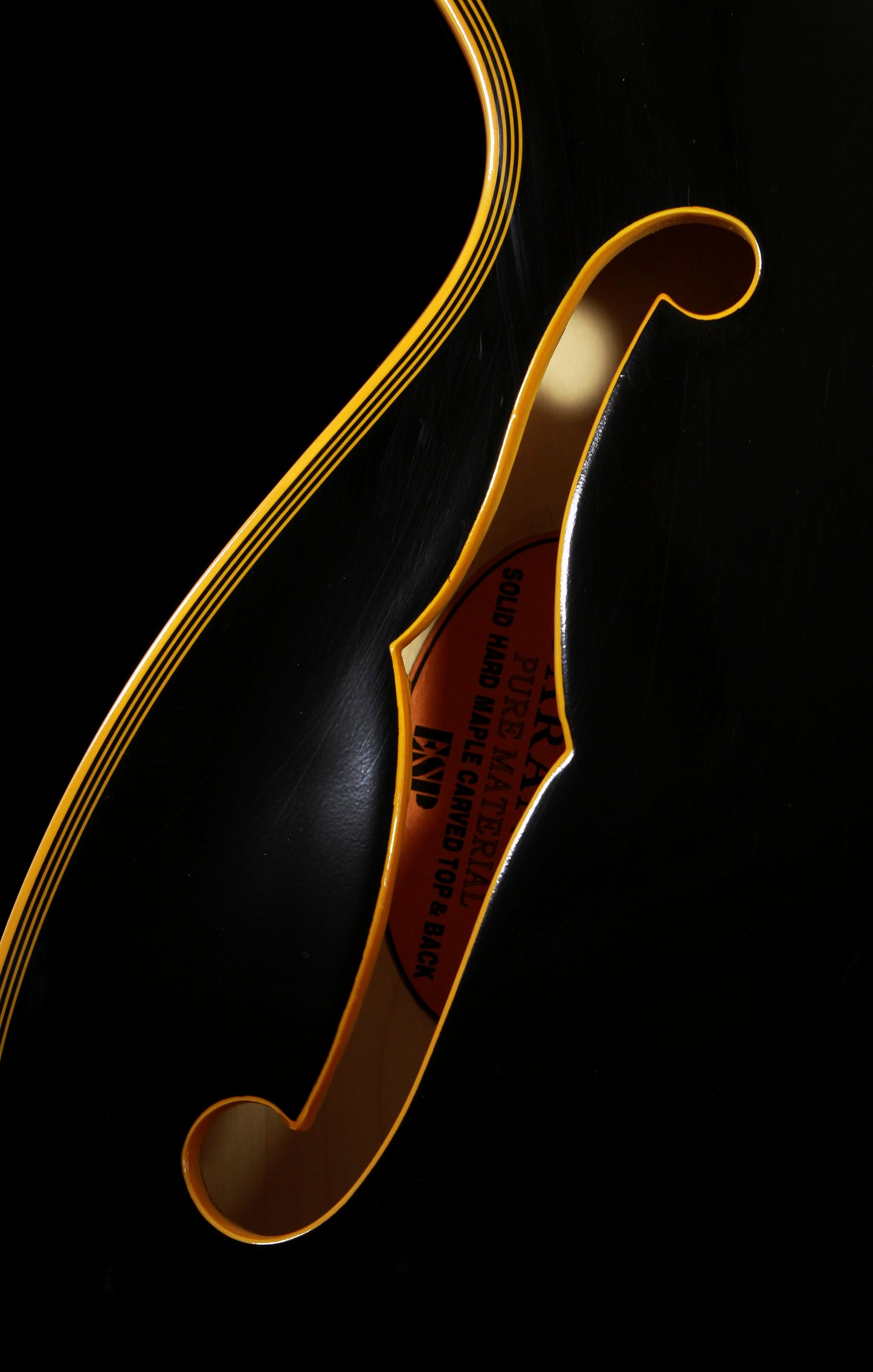 Products Edwards by ESP E-SA-180LTC ES-335 Ebony/Black Lacquer Finish