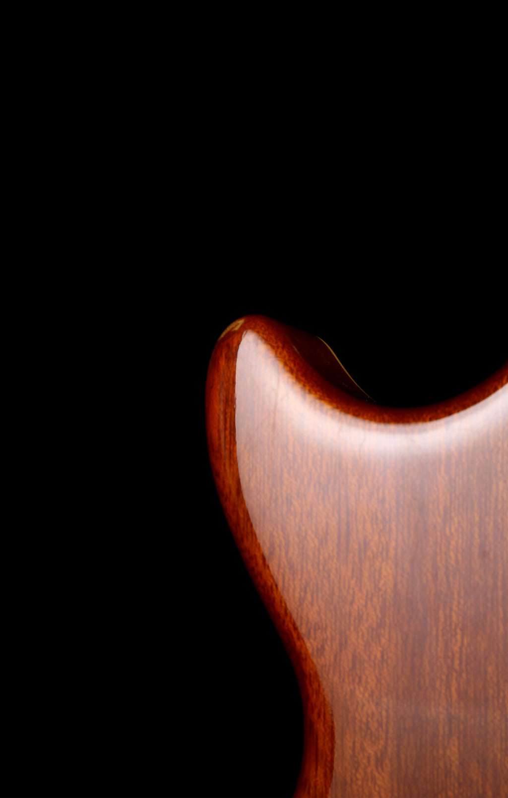 Burny RLG Les Paul Standard MIJ Honey Sunburst