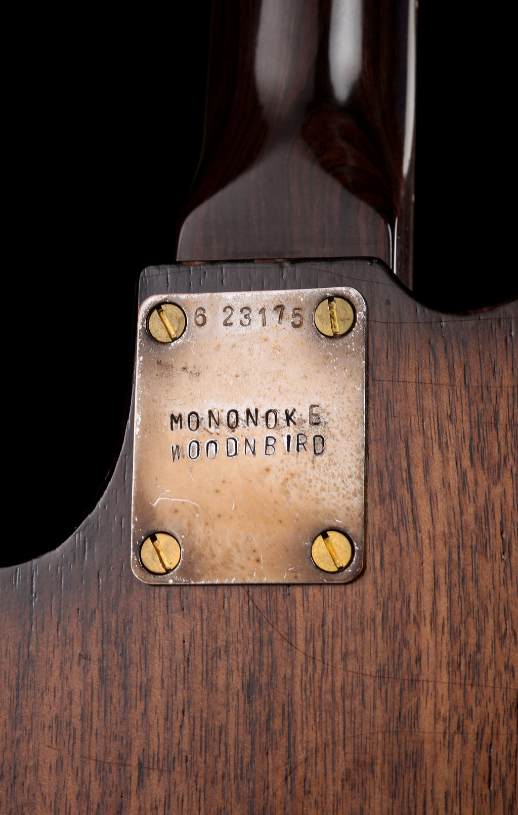 Delicious Taylormade Custom Order All-Rosewood Telecaster Dark Sunburst / Natural