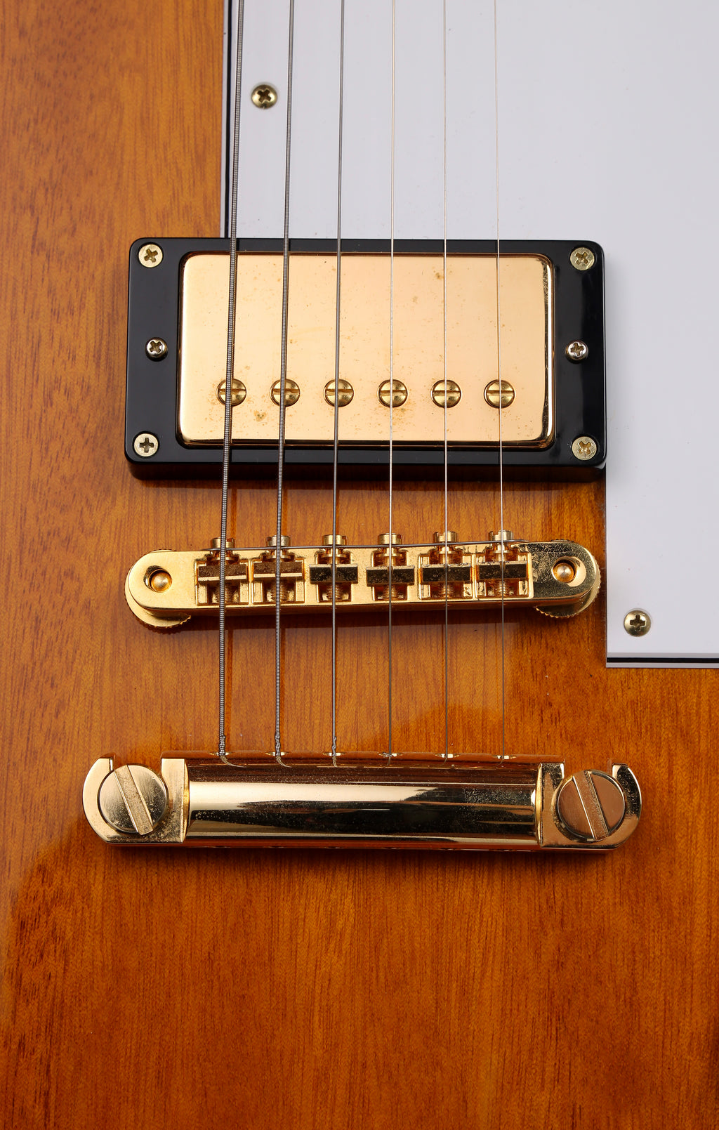 Edwards by ESP E-EX-STD Eric Clapton Elbow Cut Explorer Natural with Gold Hardware 2024