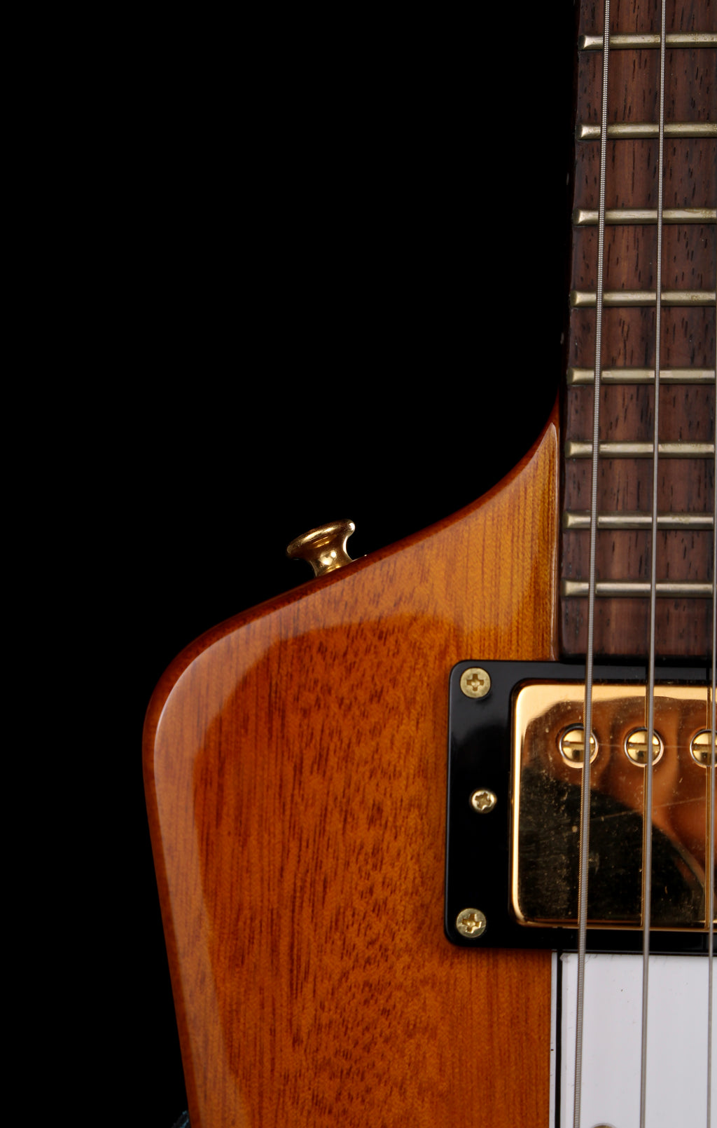 Edwards by ESP E-EX-STD Eric Clapton Elbow Cut Explorer Natural with Gold Hardware 2024