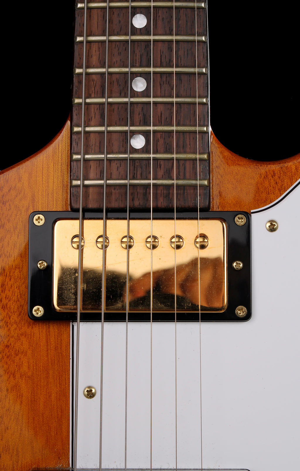 Edwards by ESP E-EX-STD Eric Clapton Elbow Cut Explorer Natural with Gold Hardware 2024