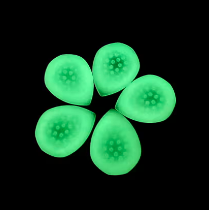 Attak Pik - Stealth III Radium (Glow in the Dark)