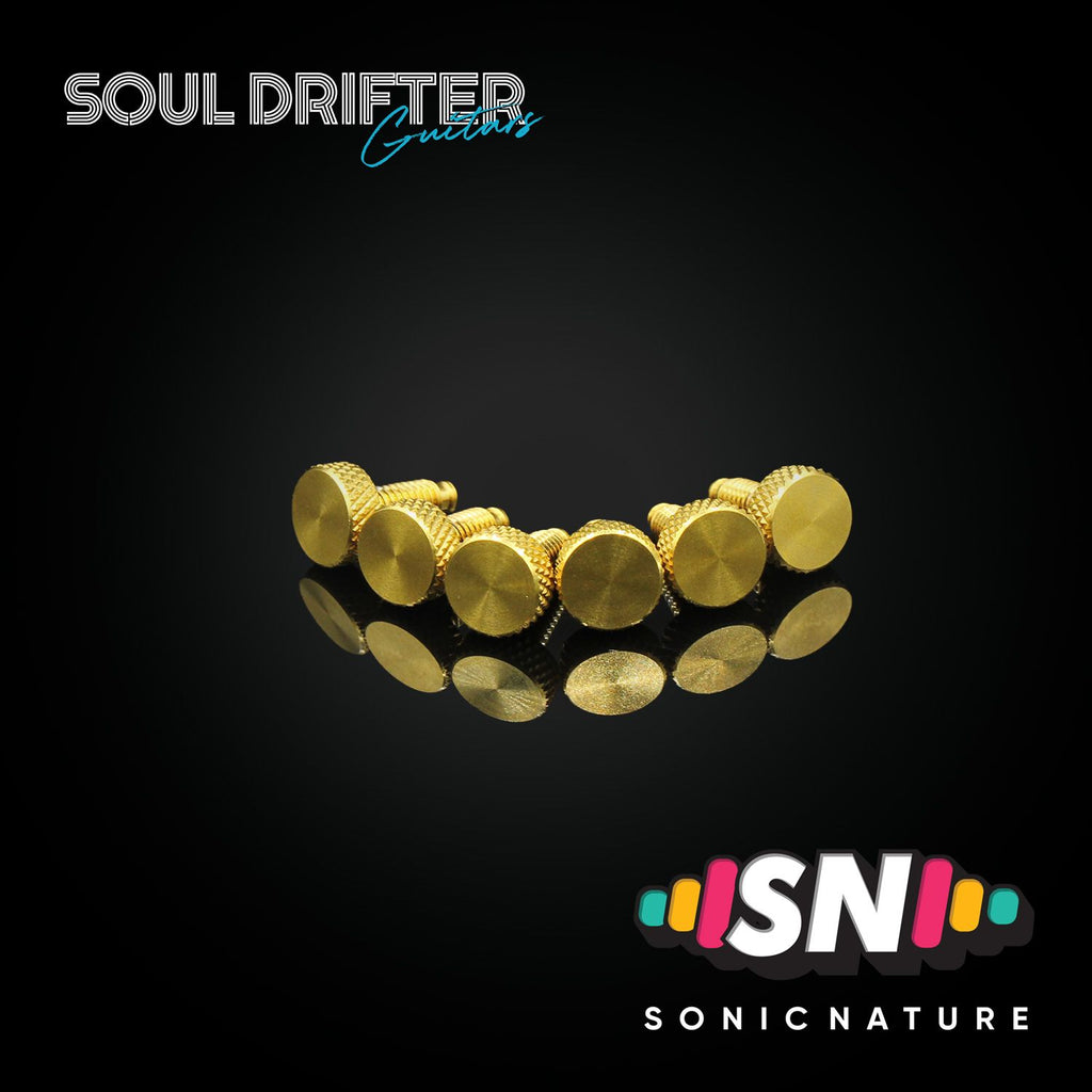 Sonic Nature GR5 Titanium Fine-Tuning Screws for GE1996T - Gold