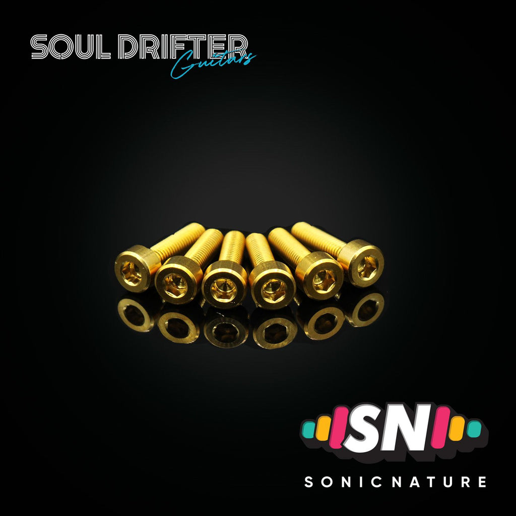 Sonic Nature GR5 Titanium Saddle Screws for VT1 - Gold