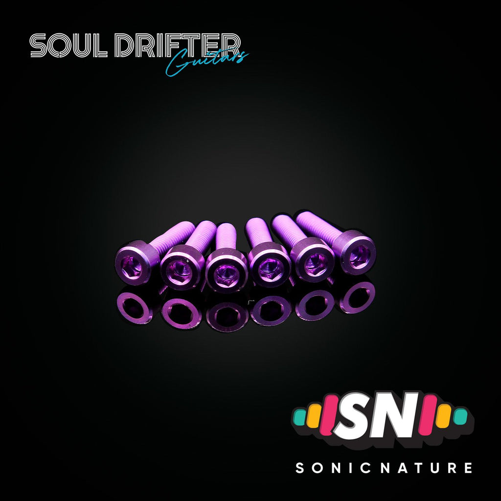 Sonic Nature GR5 Titanium Saddle Screws for VT1 - Purple