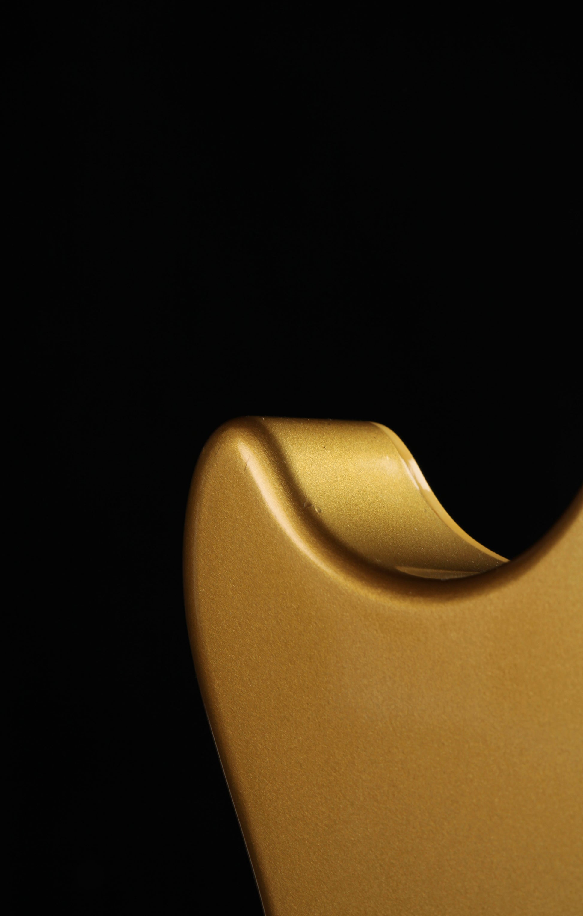 Tokai LS-GT AG Les Paul All Gold 1981 MIJ