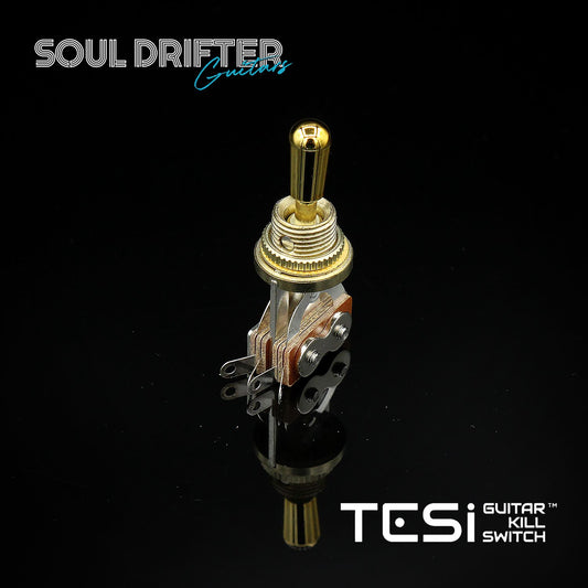 Tesi Premium 3-Way Les Paul Toggle Pickup Selector Switch - Gold