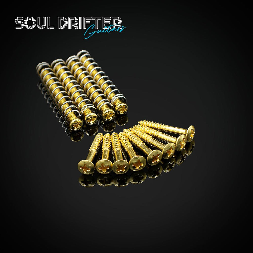 Humbucker Pickup Ring Screw Set - Select Colour