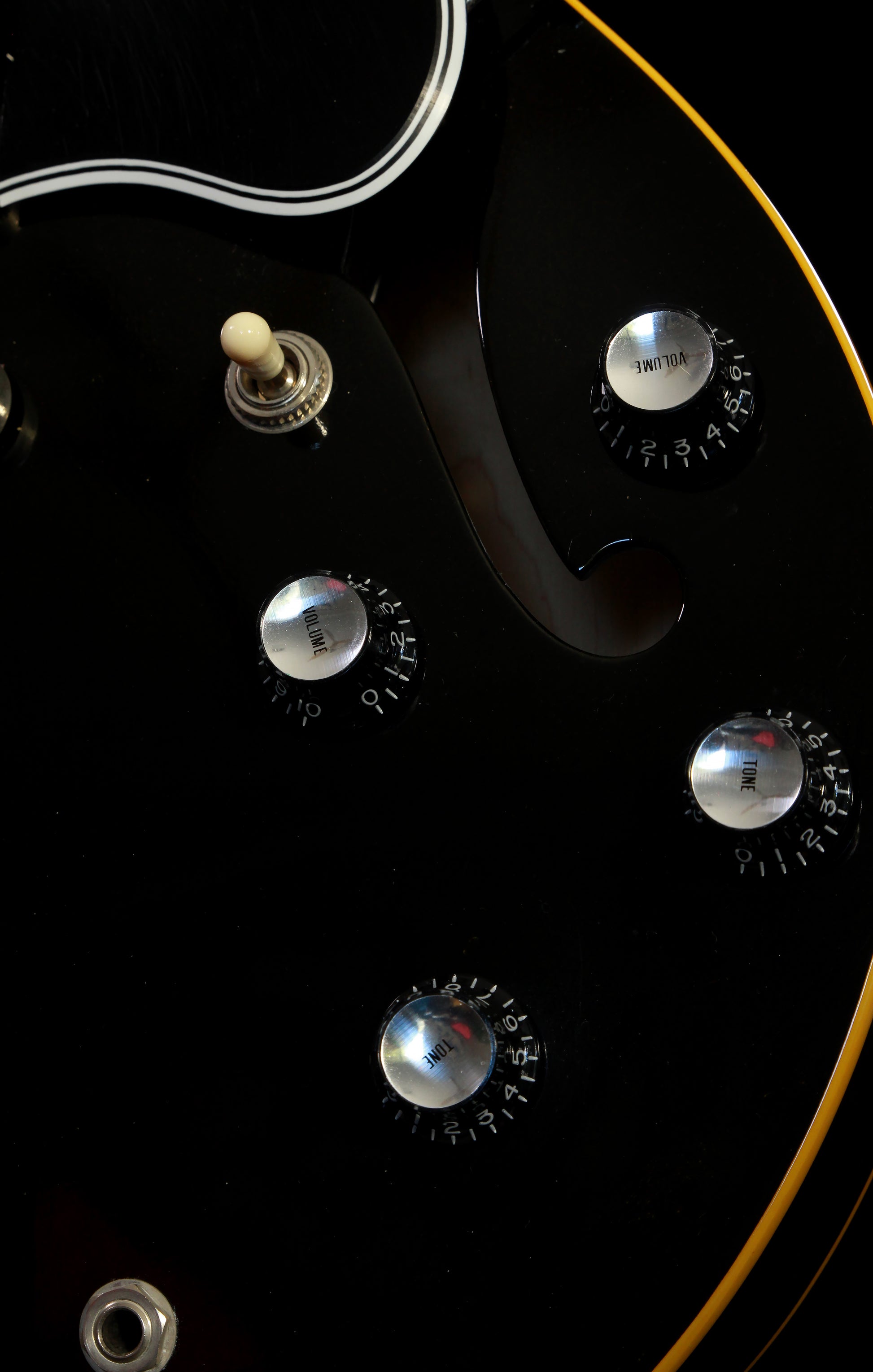 Edwards by ESP E-SA-125LTC ES-335 Ebony