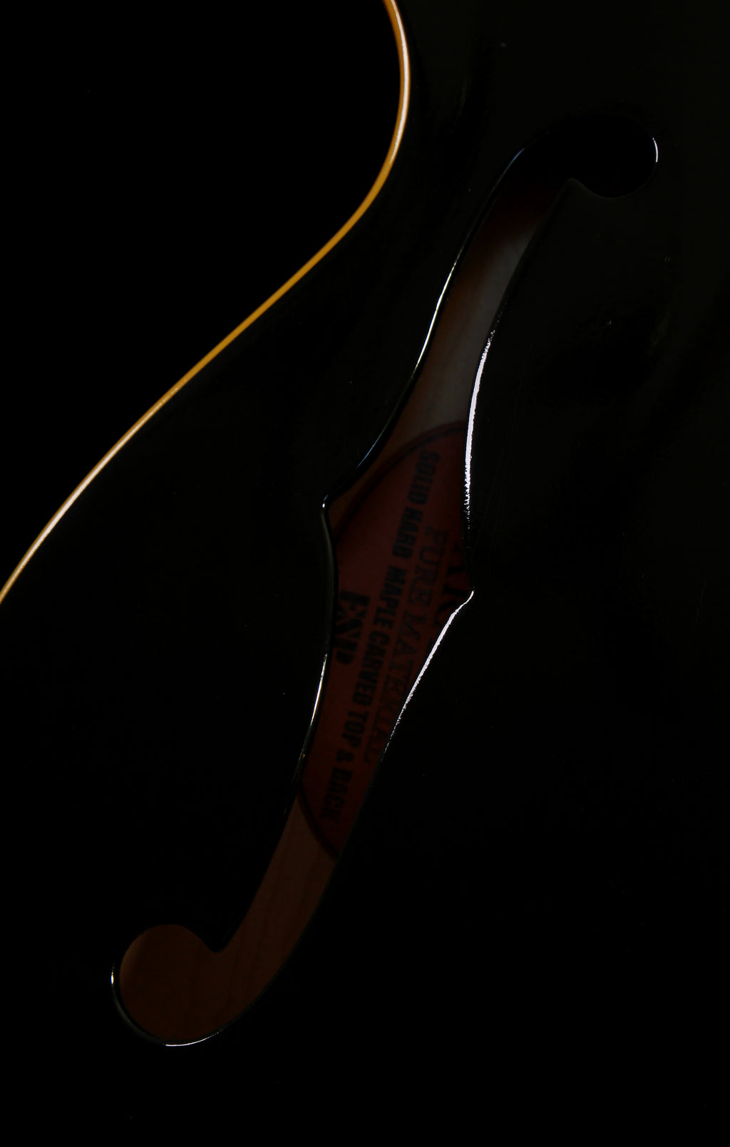 Edwards by ESP E-SA-125LTC ES-335 Ebony