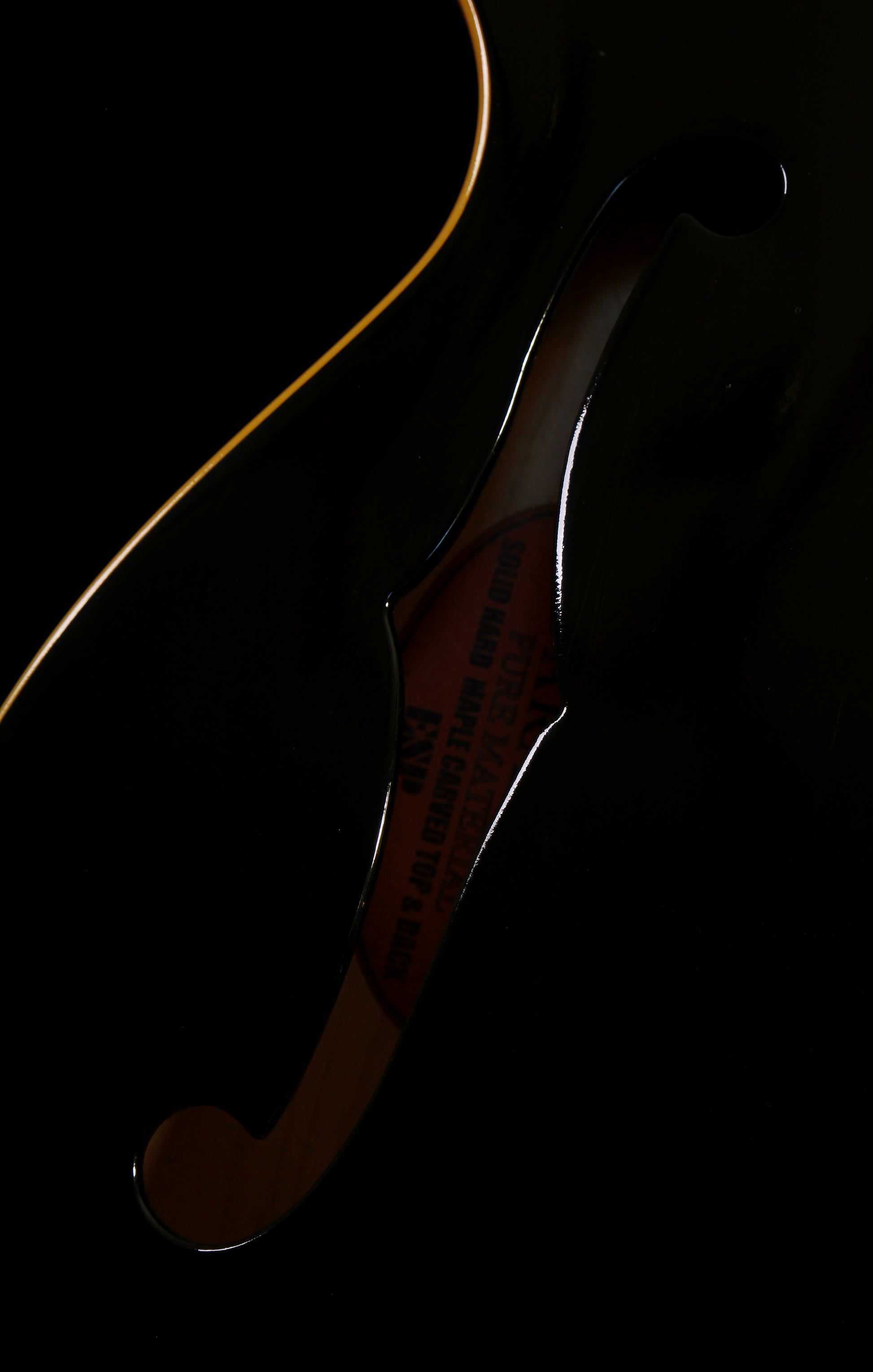 Edwards by ESP E-SA-125LTC ES-335 Ebony
