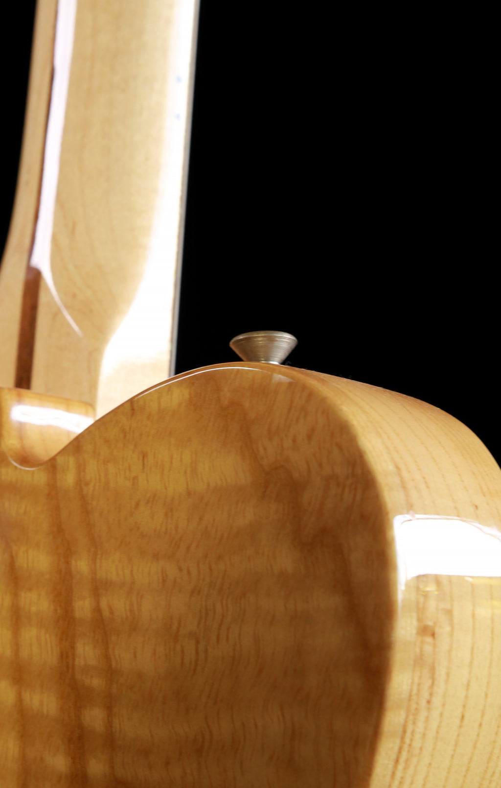 Fender MIM Thinline Telecaster Natural