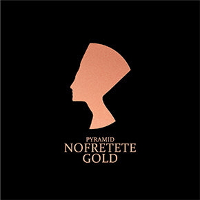 Pyramid Nofretete X Gold Electric Guitar Strings (.010-.046)